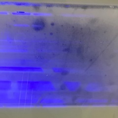ラクア　タンク式食器洗い乾燥機　サンコーの画像