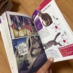本 どっちが強い クロヒョウ マンドリルの画像
