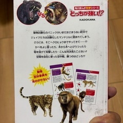 本 どっちが強い クロヒョウ マンドリルの画像
