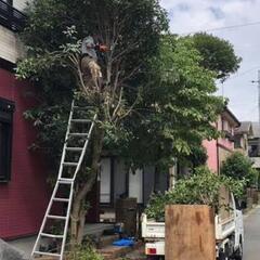 庭木の伐採がしたい