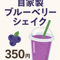 農園カフェ - その他