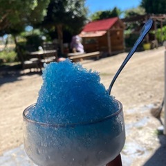 農園カフェ - 防府市