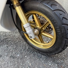 dio zx AF35
の画像