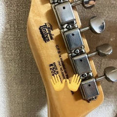 FUJIGEN(FGN) フジゲン　テレキャスター　タイムレスティンバーネック　オーダー　の画像