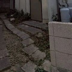 草抜き（草むしり）短時間