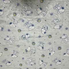 SNOOPY スヌーピー夏用ラグマットの画像
