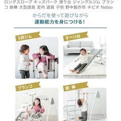野中製作所　室内ジャングルジムの画像