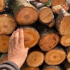 即薪棚　薪　堅木　桜の画像