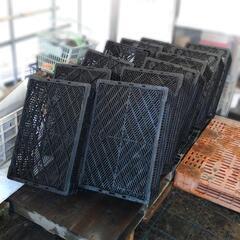 8️⃣　コンテナ　サンテナー　カゴ　90ケ(20ケ予約済み)　バラ売り可　倉庫片付けの為値下げの画像