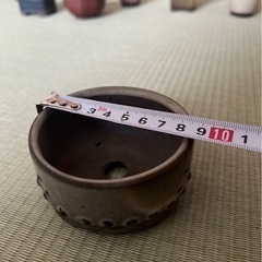 明日限定価格💐おしゃれなミニ鉢・豆鉢の画像