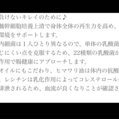 💐美しくなる💐【購入時価格18144円】 STC-22 サプリメント 60錠 【腸内環境サポート】の画像