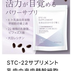 💐美しくなる💐【購入時価格18144円】 STC-22 サプリメント 60錠 【腸内環境サポート】の画像