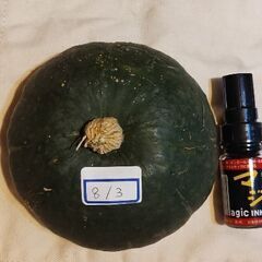 ぼくちゃんかぼちゃ約390gの画像