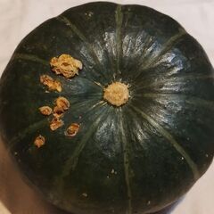 ぼくちゃんかぼちゃ約400gの画像