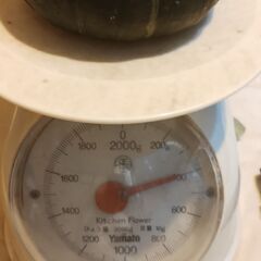 ぼくちゃんかぼちゃ約400gの画像