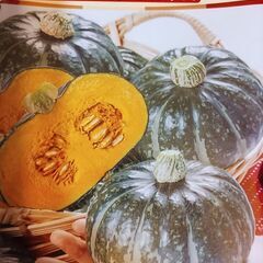 ぼくちゃんかぼちゃ約400gの画像