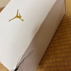 NIKE WMNS AIR JORDAN 1 LOW SE 【VINTAGE PANDA】 25cmの画像