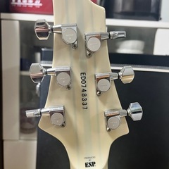 エドワーズ フォレストGT(エレキギター)の画像