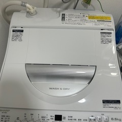 洗濯機 SHARP ES-TX6G 6.5kg 乾燥機能付の画像