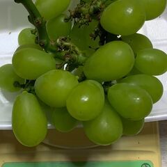 ぶどう シャインマスカット（276g）訳あり ブドウ