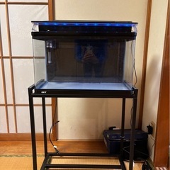 60cm水槽&水槽台の画像