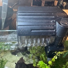 まるっと水槽とお魚達の画像
