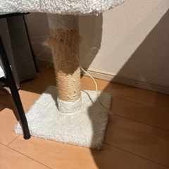 キャットタワーの画像