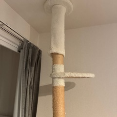 キャットタワーの画像