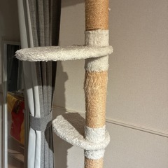 キャットタワーの画像