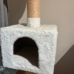 キャットタワーの画像