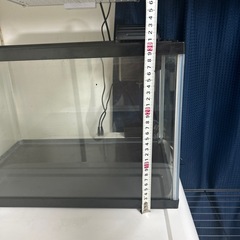 水槽の画像