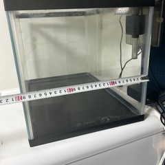 水槽の画像