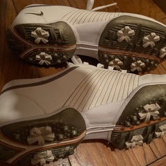 レディースゴルフセット
の画像