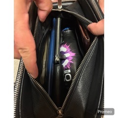 レア BALINSI 本革 エイ革 ダブルジッパー ハンドバッグの画像