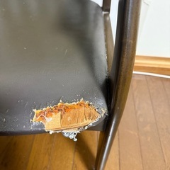 ダイニング用チェアの画像