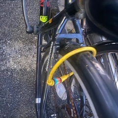 24インチ小学生用自転車(ブリヂストン　シュライン)の画像