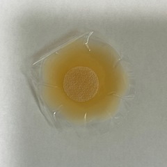 新品バストトップに貼るやつの画像