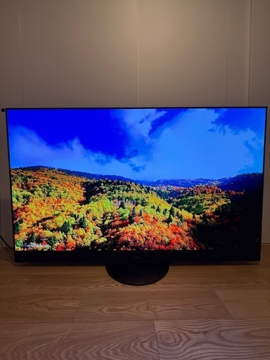 送料無料】Panasonic 2021年製 55型 TH-55JZ2000 ( ibist) 松江