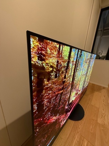 送料無料】Panasonic 2021年製 55型 TH-55JZ2000 ( ibist) 松江