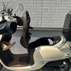 ホンダ ジョルノ AF77令和6年式 の画像