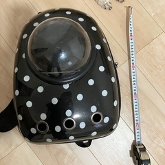 犬のキャリーリュックの画像