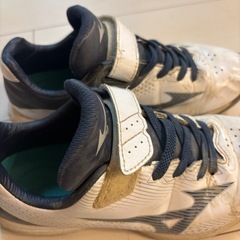 野球　ミズノ　アップシューズ　トレーニングシューズの画像