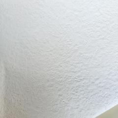 SP9742 50m 壁紙 クロス 人気の白色の画像