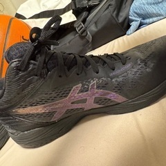 【美品】ASICS GELHOOP V14の画像