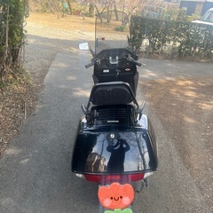 拘りのフュージョン綺麗です！！の画像