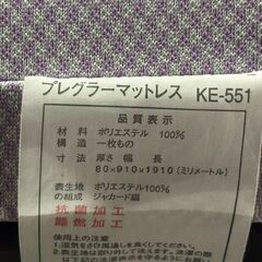⑤パラマウントベッド プレグラーマットレス 2モーター シングルベッド マットレス 介護用ベッド 3F07427000A1 KE-551の画像