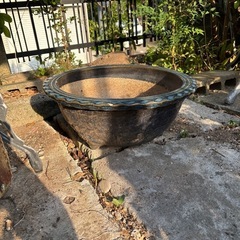 鉢　植木鉢　の画像