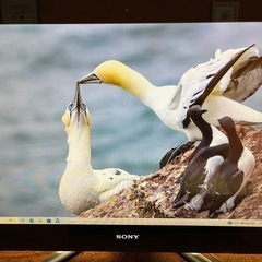 ソニーバイオ　モニター一体パソコンの画像