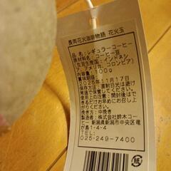長岡花火　珈琲の画像