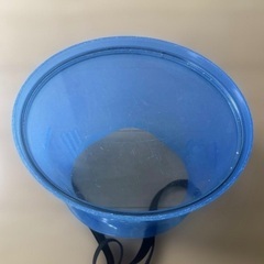水中バケツメガネ　の画像